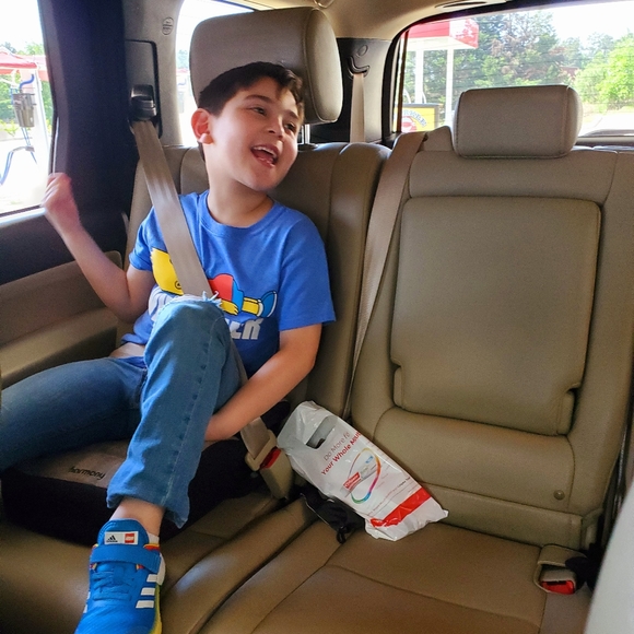 Meet your Posher, Paloma - Picture 7 of 8